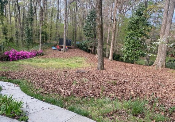 Landscape maintenance services in Atlanta