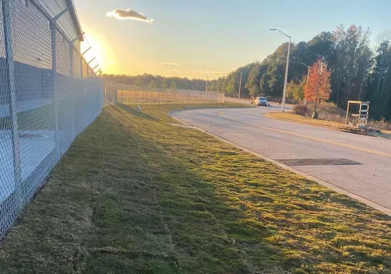 Natural Sod Installation in Atlanta, GA