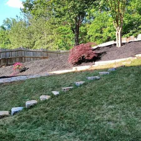 Full Back Yard Landscaping Transformation